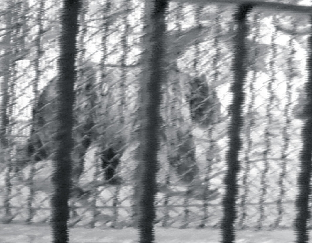 西蒙娜·福蒂，《三只灰熊》，1974，录像，黑白有声，时长17分钟.