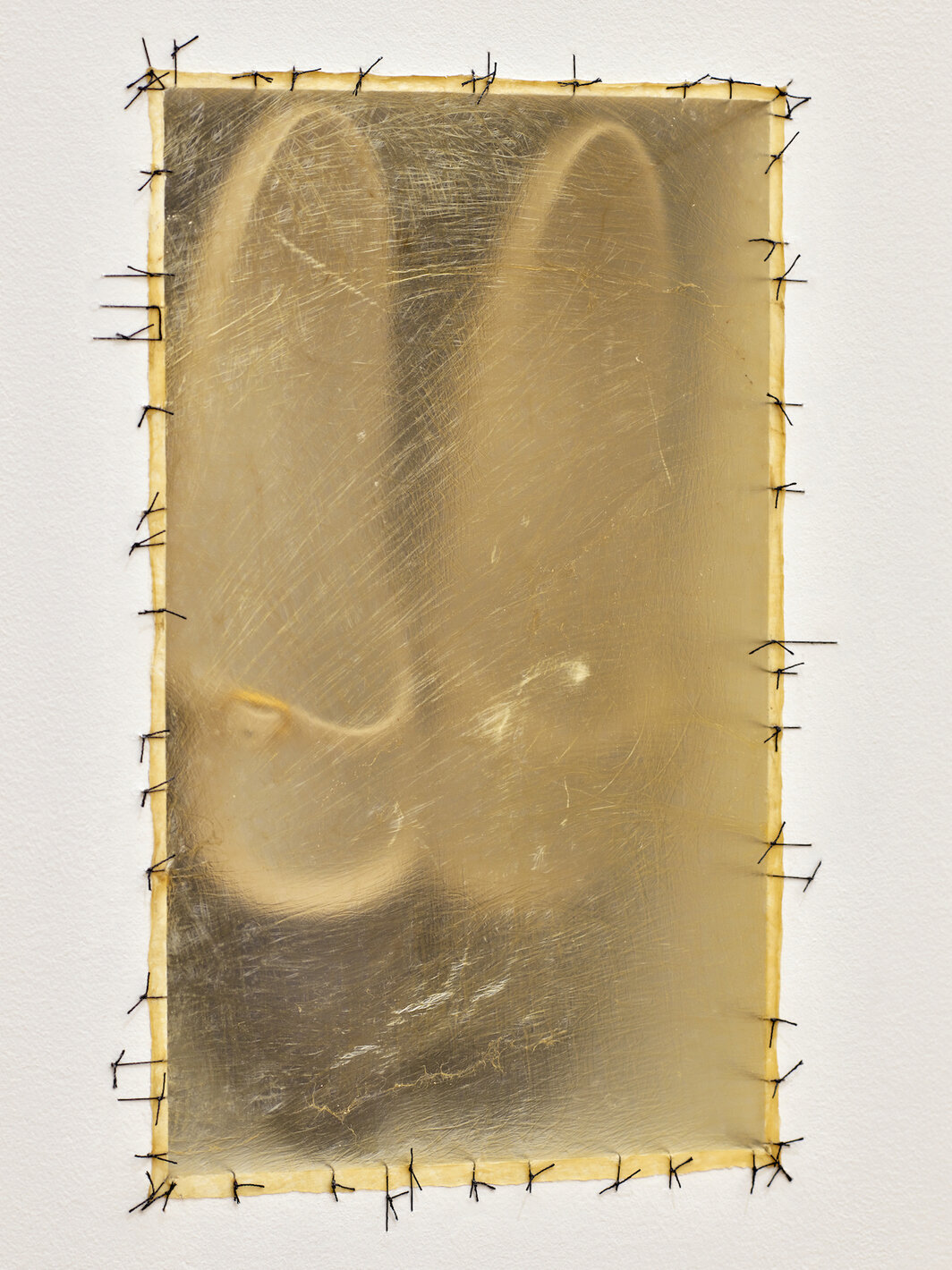 多丽丝·萨尔塞多，《Atrabiliarios》（局部），1996，石膏板、鞋子、牛膀胱、外科缝合线.