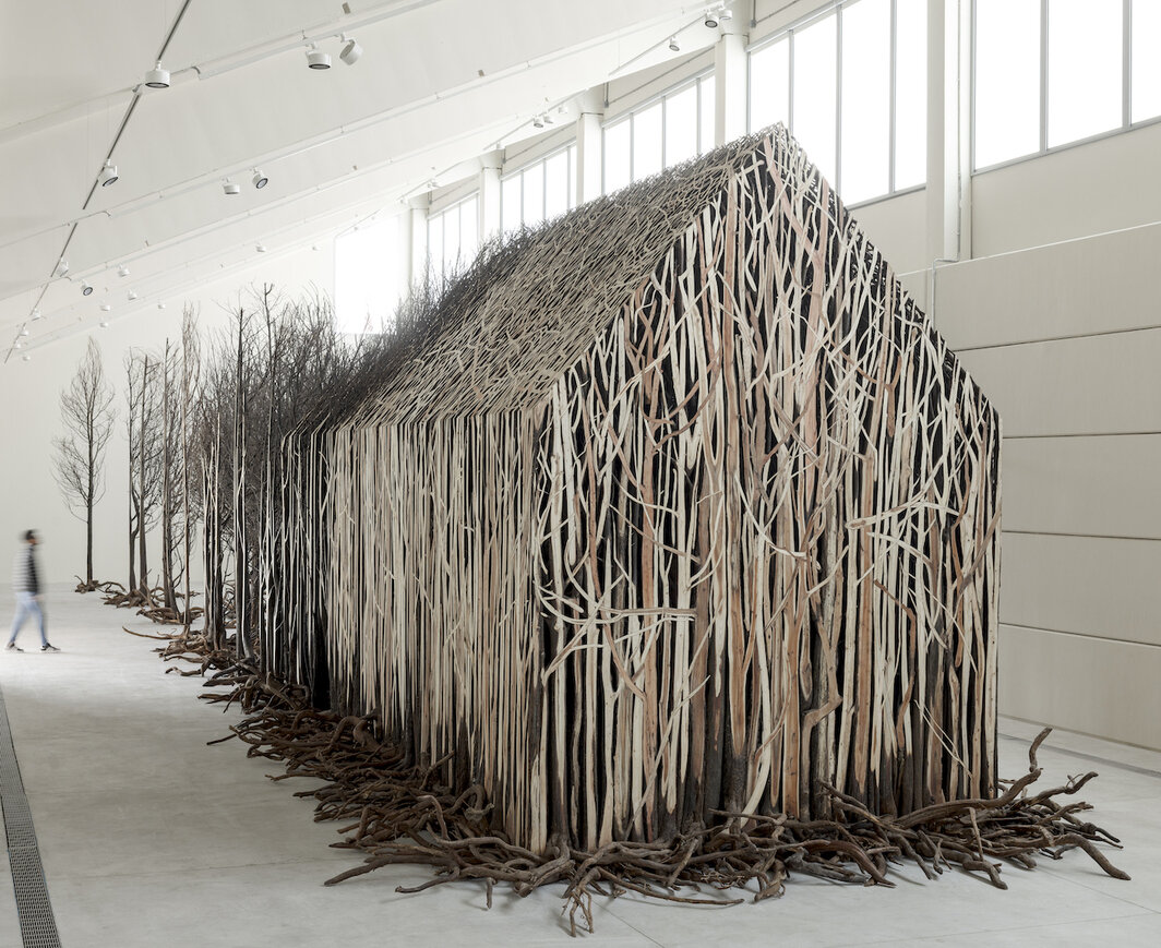 多丽丝·萨尔塞多，《连根拔起》（Uprooted），2020–22，804棵死掉的树和钢筋，98 1/2 x 21 2/3 x 16 1/2’. 第十五届沙迦双年展展览现场，2023. 摄影：Juan Castro.