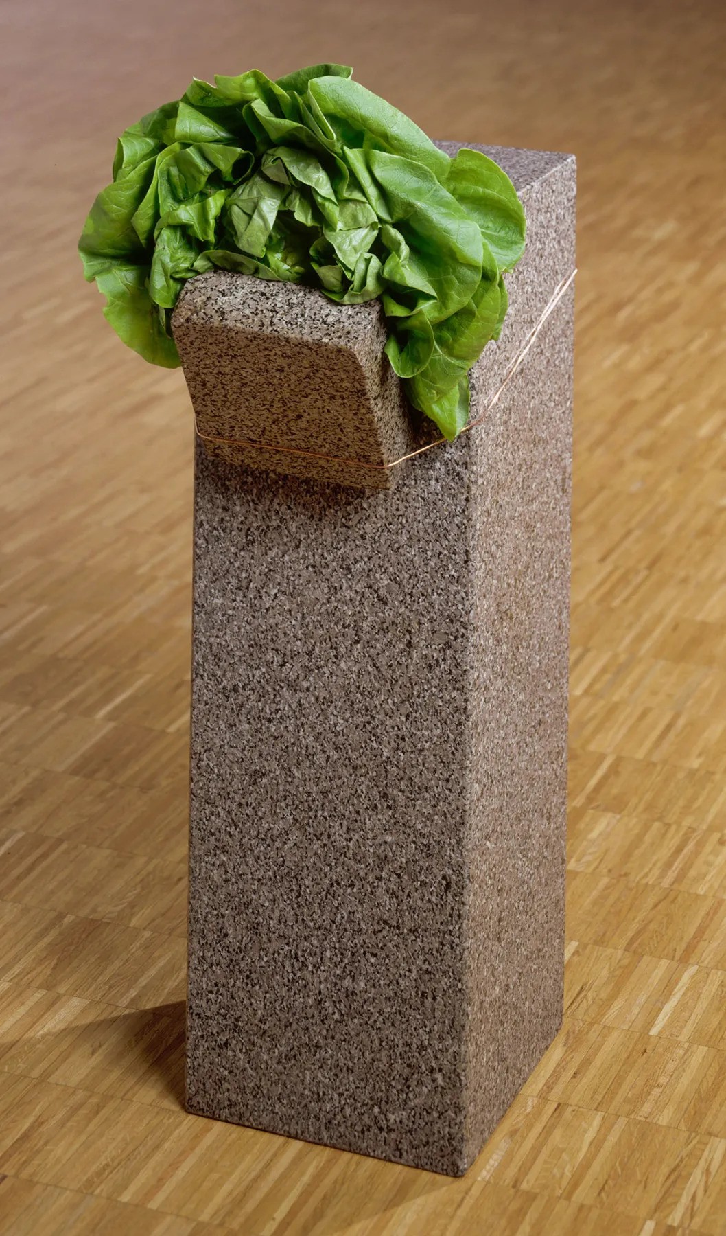 乔凡尼·安塞尔莫，《无题（吃的结构）》，1968，花岗岩、生菜、铜线，27 1⁄2 × 9 × 14 5⁄8英寸. 