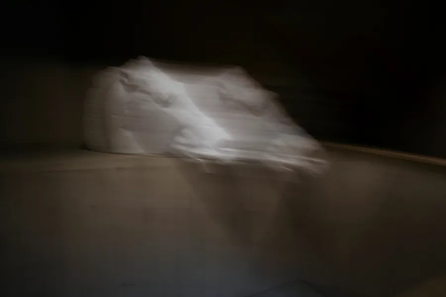 路易斯·劳勒，《致敬（滑动）》，2022，博物馆盒表面染料升华印刷，48 × 72英寸.