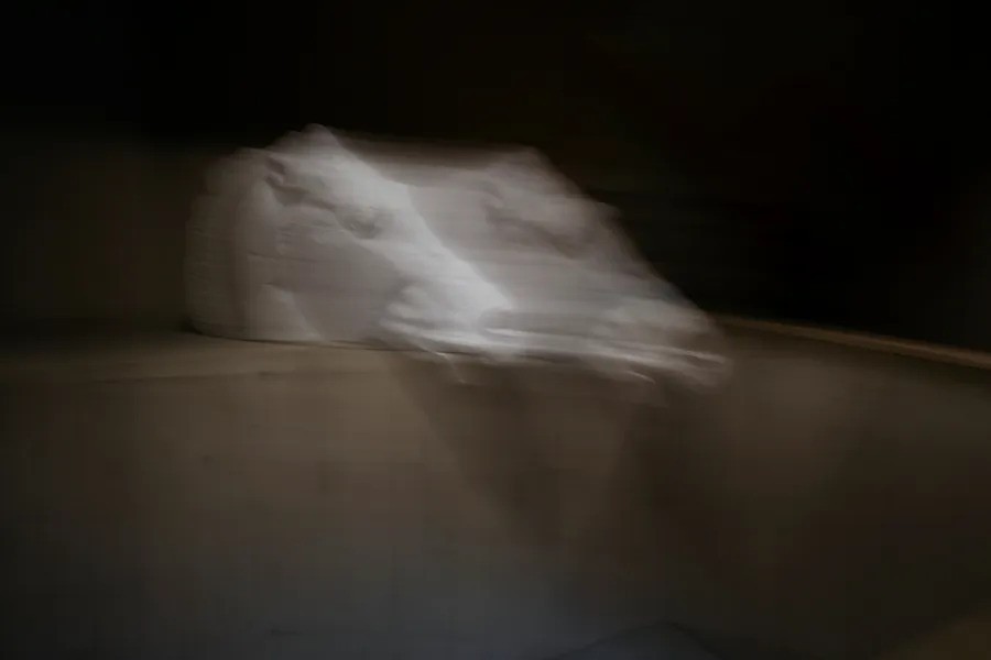 路易斯·劳勒，《致敬（滑动）》，2022，博物馆盒表面染料升华印刷，48 × 72英寸.