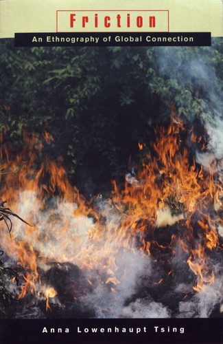 罗安清（Anna Tsing），《摩擦》（Friction），2004.