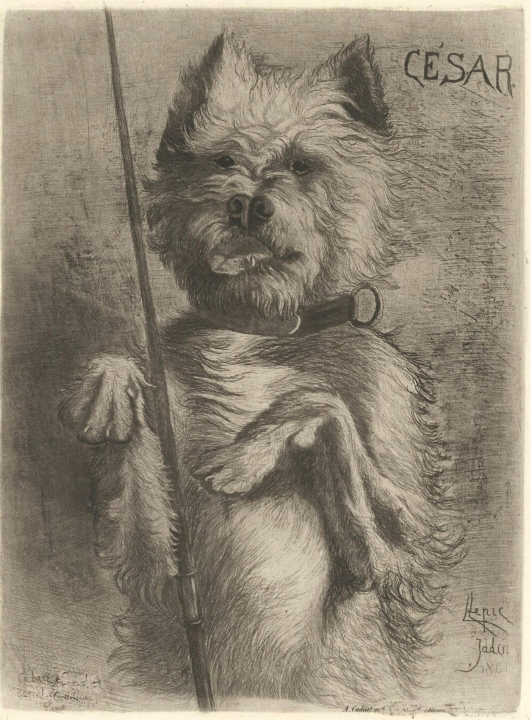 卢多维奇-纳波莱昂·勒皮克，《塞萨尔》，1861，蚀刻和钉头针在纸面上，12 3⁄4 × 9 1⁄2″.