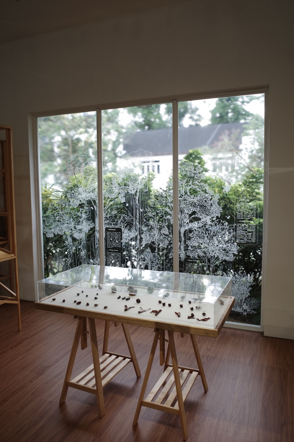 森林学习中心关于树冠层与本地植物研究的展示.