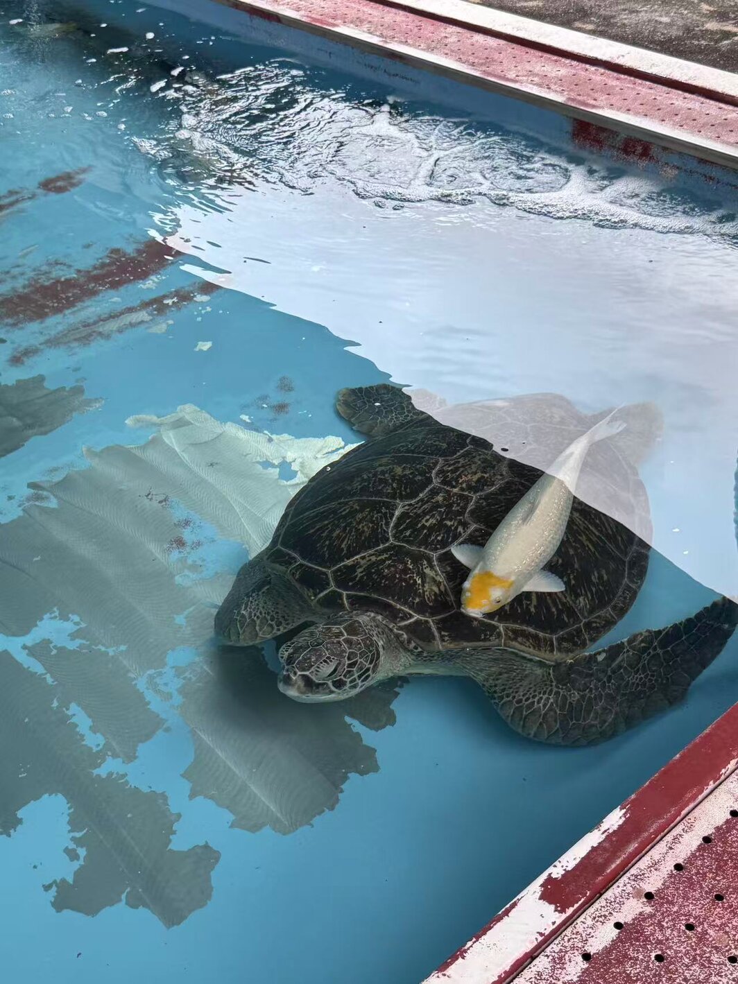 岛袋道浩的作品《魔法之水》.