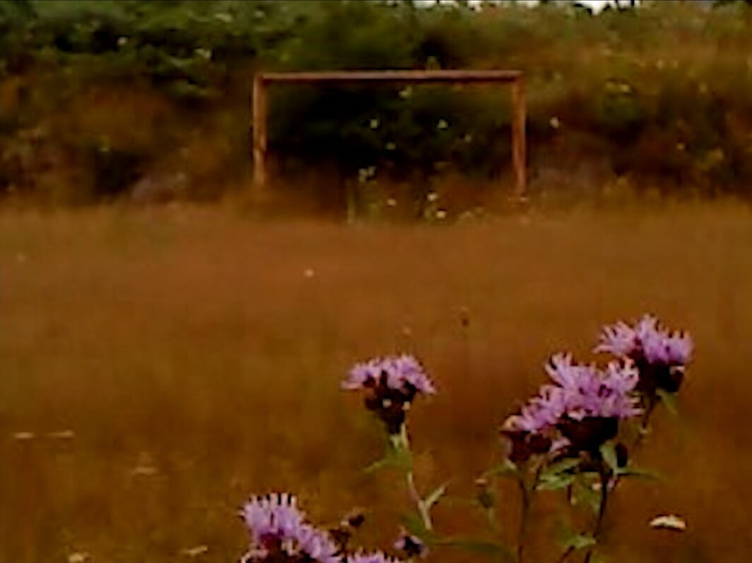 亚历山大·科贝里泽，《干叶》剧照，2025.