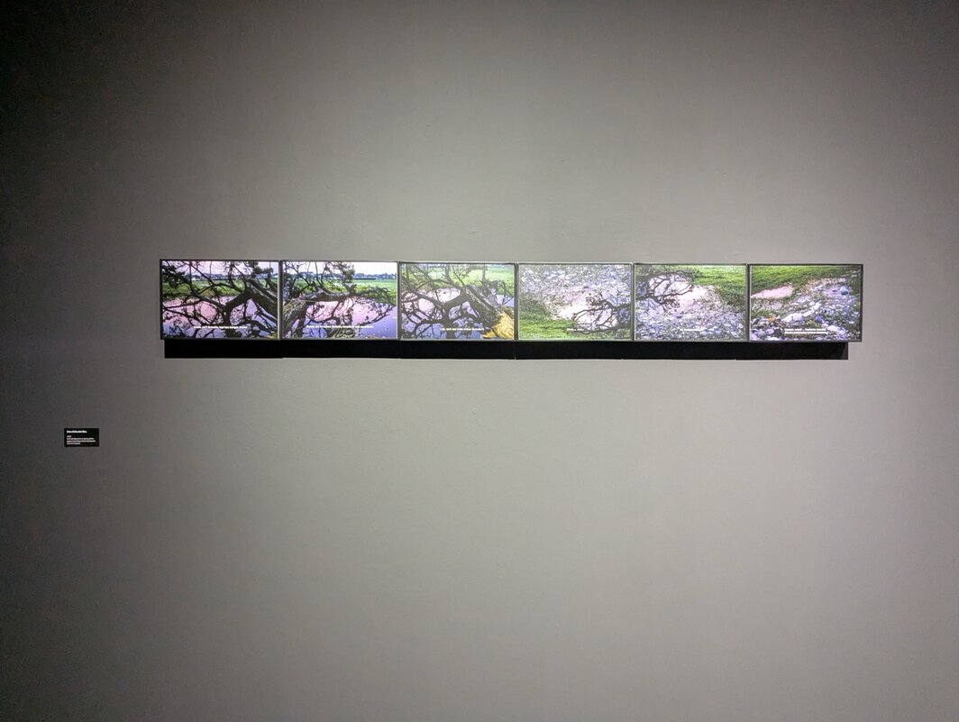 Wimo Ambala Bayang的作品《Deru Debu dan Bau》.