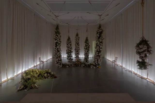  丹·李，《耐心》，2025，白菊、天然纤维绳、灯光、窗帘、椅子、棉布、木制看台. 展览现场，曼谷CityCity Gallery. 图片提供：Soopakorn Srisakul/Dan Lie/Galerie Barbara Wien.