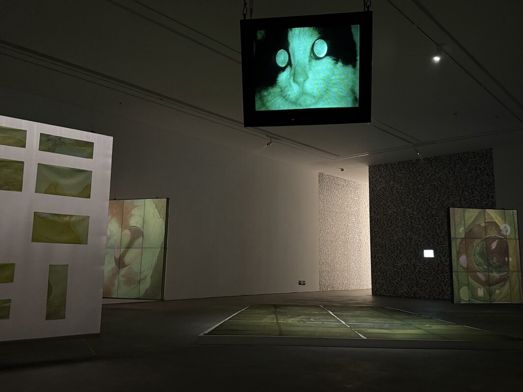 佩恩恩，“浊智”展览现场，2026，马刺画廊.