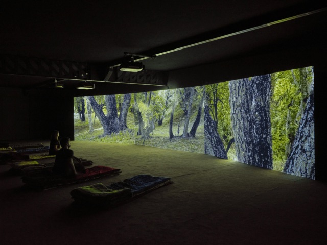 索达特·伊斯梅洛娃：Amanat，神圣森林”展览现场，2026-2027， 法国阿尔勒LUMA. 图片提供：Victor&amp;Simon–Grégoire d’Ablon.