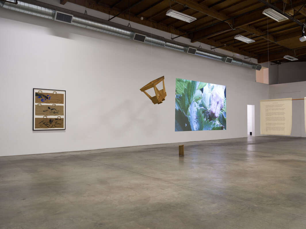 “西蒙娜·福尔蒂：又一个金秋”（Simone Forti, Another Pretty Autumn）展览现场，洛杉矶The Box画廊，2022. 图片由艺术家及The Box画廊提供. 摄影：©Fredrik Nilsen Studio.