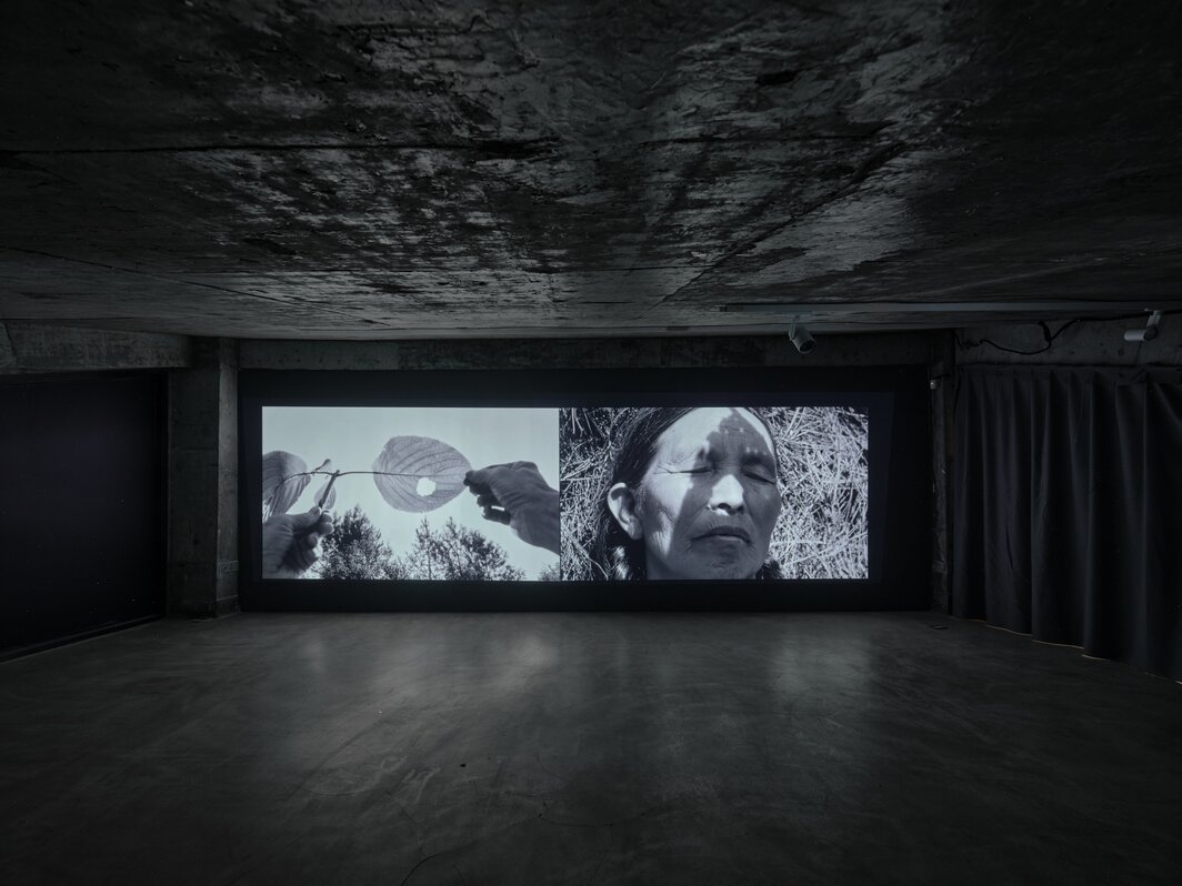 蒋志，“情书”展览现场，2026.
