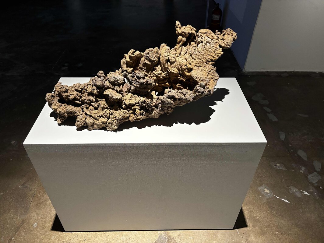 济州岛的火山石，2026年光州双年展“你必须改变你的生活”展览现场.