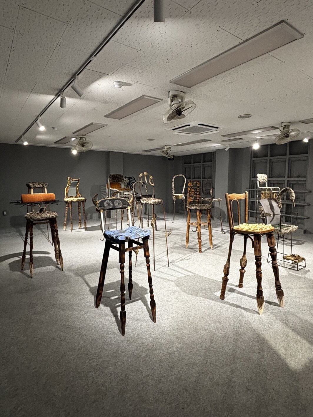 Jantsankhorol Erdenebayar，《地方语言之回响》（Resonance of the Vernacular），2026，釜山双年展“异议合唱”展览现场.&nbsp;