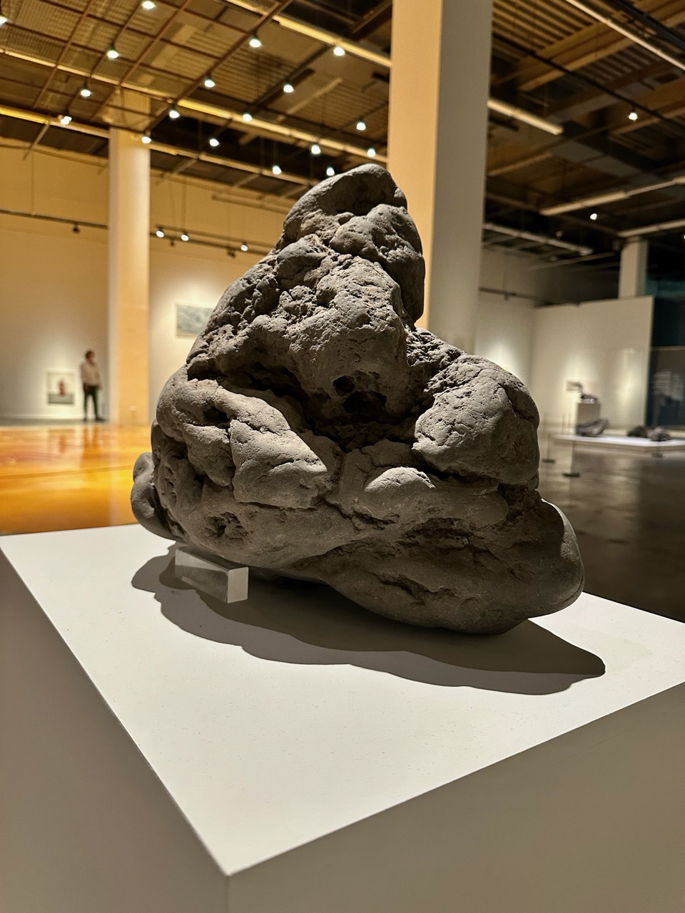 展厅一“分子与我”中被比喻为“爸爸妈妈和我”的火山石.